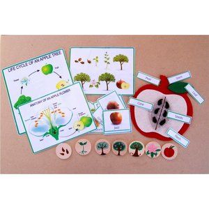 Montessori | Preschool | Learning Toys | Homeschool